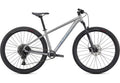2021 Specialized Rockhopper Expert 29" Mountain Complete Bike - Medium, SATIN SILVER DUST / BLACK HOLOGRAPHIC